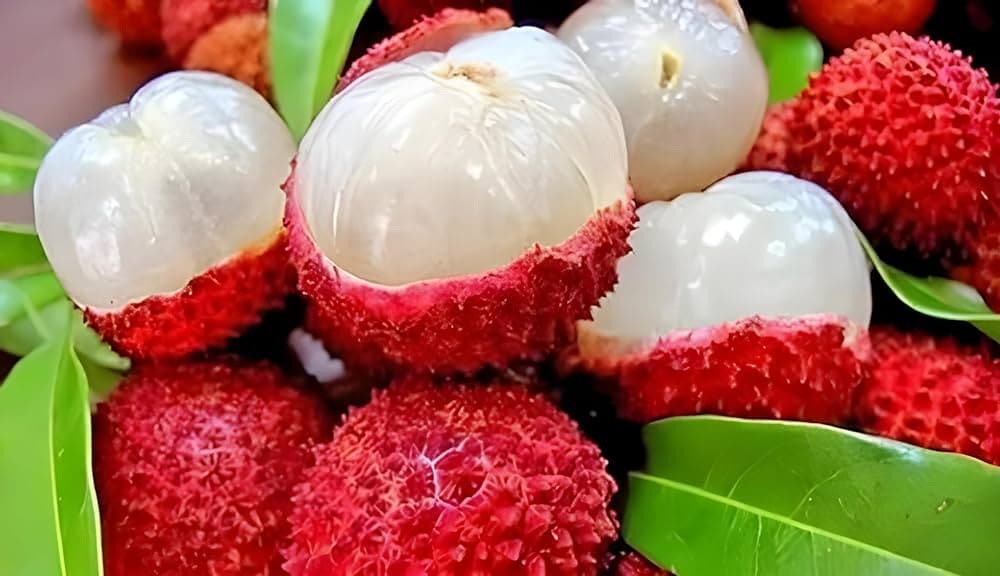 Litchi crop (Representative image)
