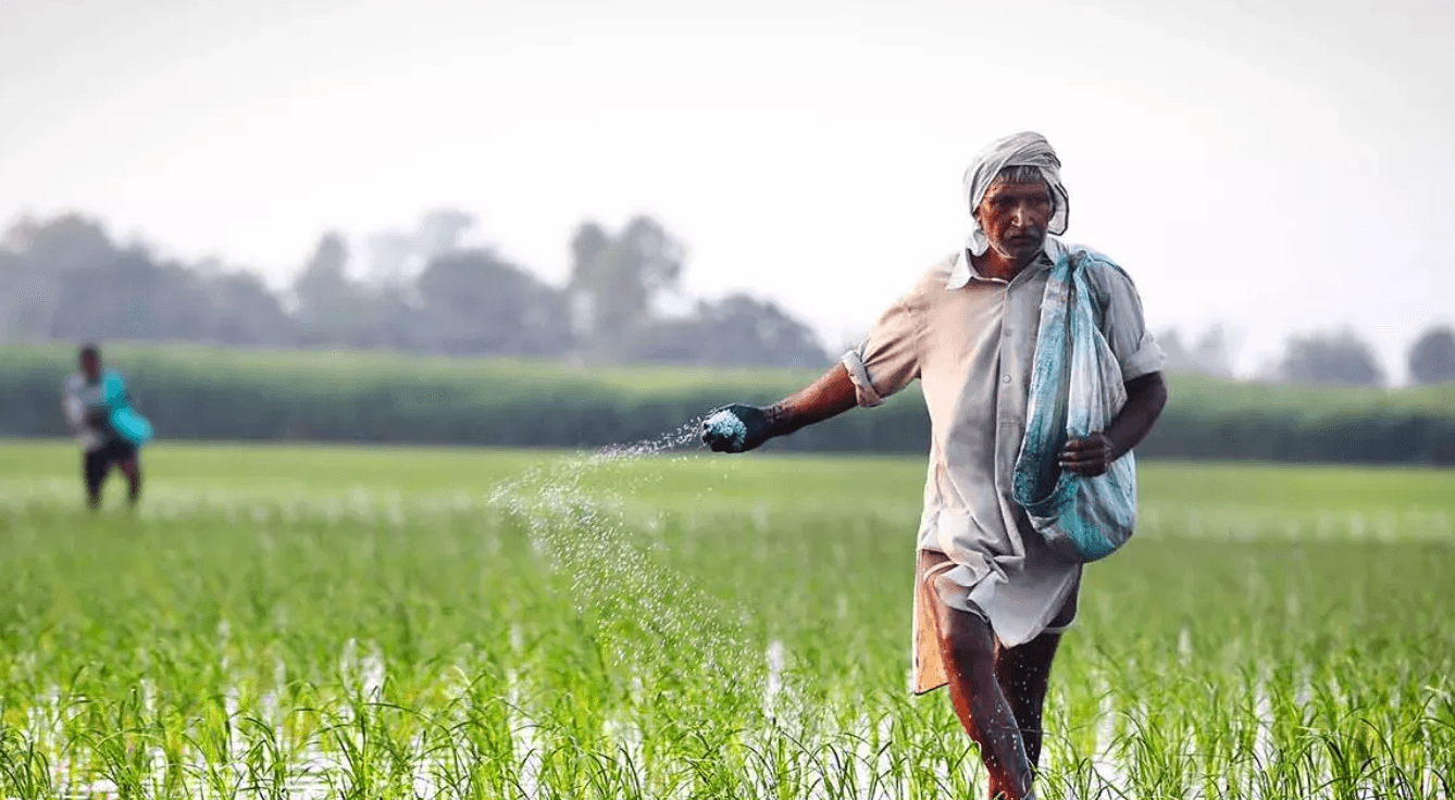 India’s fertilizer stocks sufficient (Photo/Sourced)